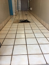 pic1